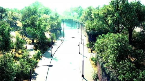 Asphalt Road and Green Trees in Park