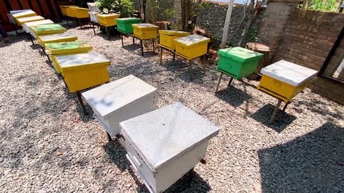 Many Bee Hives in a Rural Apiary