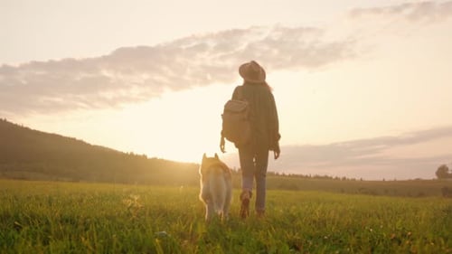 Peaceful Trek Alongside Devoted Canine at Dusk Serene Night Walk in Open Fields with Dog Under