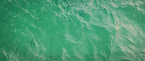 Clear green sea water surface shows gentle ripples on a calm summer day