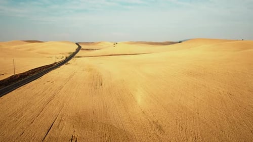 Luftbild: Drohnenaufnahme eines goldenen und erntereifen Weizenfeldes mit Straße