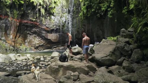 Two young men and dog in front of waterfall and pool in lush rain forest jungle