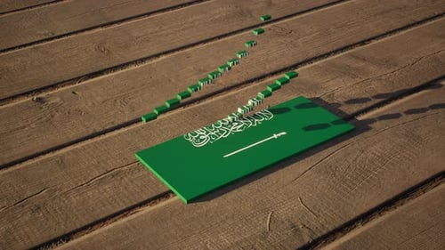 Saudi Arabia Flag Formation by Domino Blocks Reveal