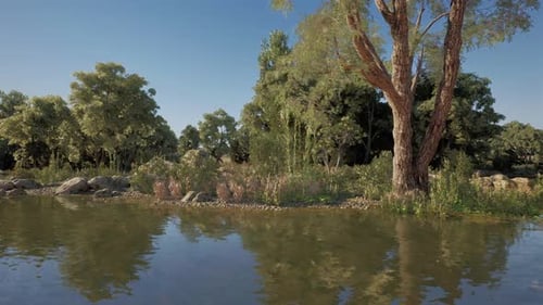 Tranquil River Stream and Green Nature Landscape