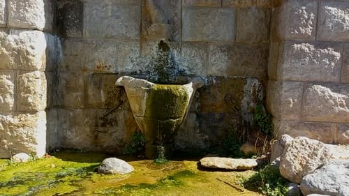 Ancient, hand-carved stone fountain with water and green moss