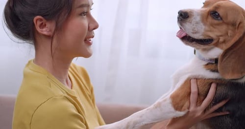 Woman Holds and Pets her Dog Indoors