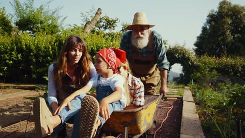 Grandfather Pushes Grandchildren in Wheelbarrow Through Sunny Garden