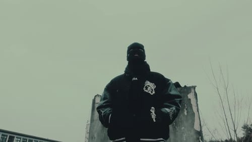 Street Criminal