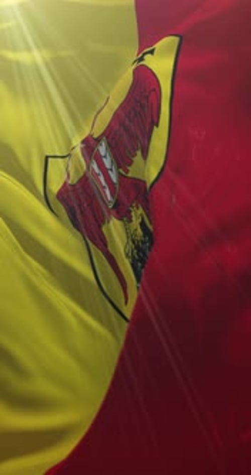 Waving Flag with Heraldic Crest Animation