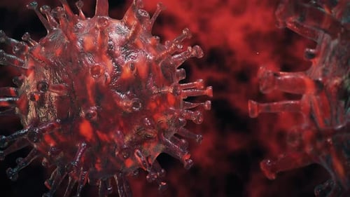 3D Animated Red Virus Cells Floating in Microscopic Biological Environment