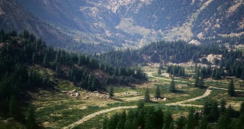 Scenic Mountain Landscape with Winding Road and Dense Forest During Daylight