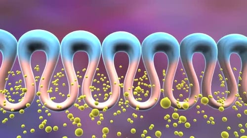 Molecular Absorption Process in 3D Animation