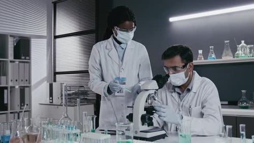 Scientists Working Together in Medical Laboratory