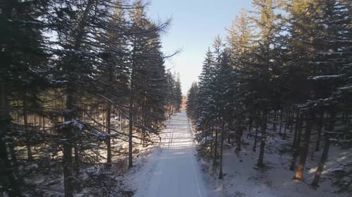 Aerial Over Winter Forest Road