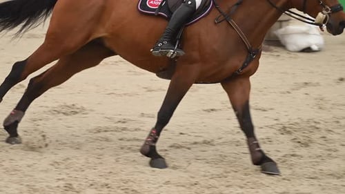 Horse Galloping Across Sandy Field Close-Up