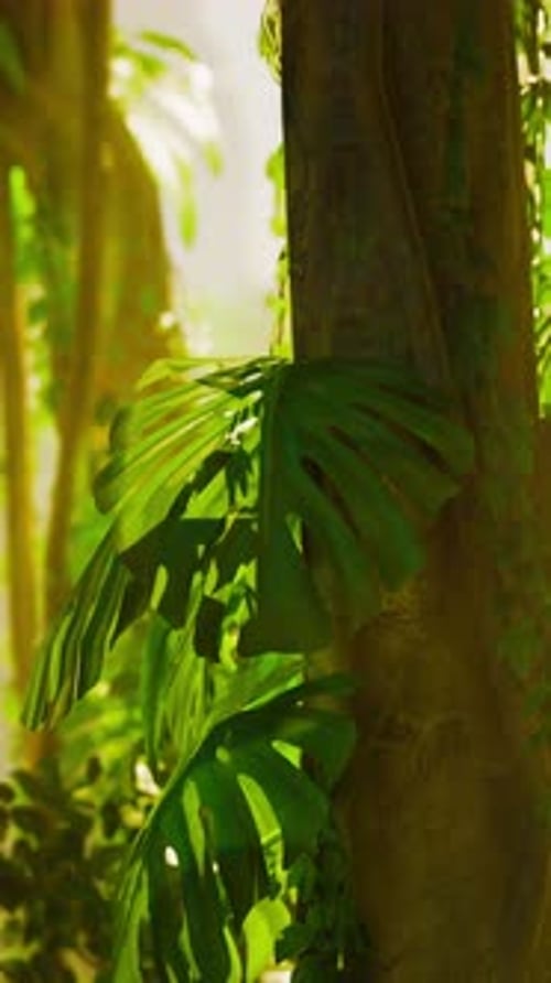 Majestic Tree With Abundant Green Leaves