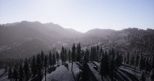 Snowy Winter Mountain Forest Flyover Animation