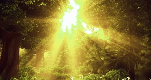Sunlight Filtering Through Lush Trees in a Vibrant Green Forest
