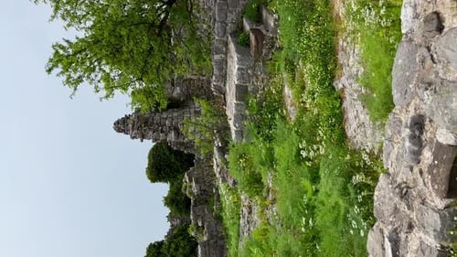 Stone Ruins and Overgrown Greenery
