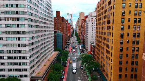 Bela rua da animada cidade delineada por árvores verdes.