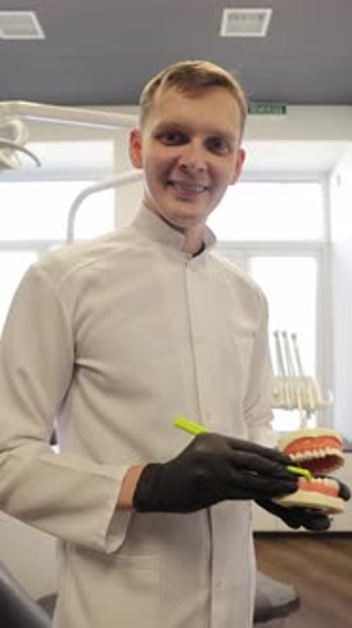 Dentist explains proper brushing using teeth model in office