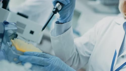 Close-up of the Hand in Glove Using Micro Pipette while Working with Test Tubes. People in Innovati