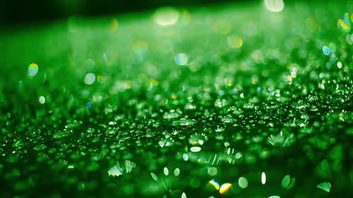 Green Rain Drops on Glass Night