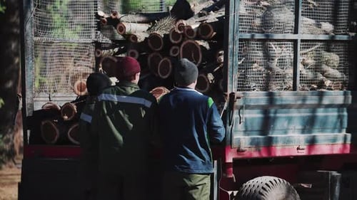 Men Loading Wood into Truck in Rural Setting
