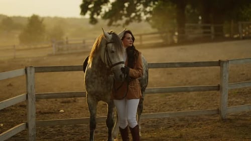 Happy Woman Stroking Gray Horse Concept of Equine Therapy