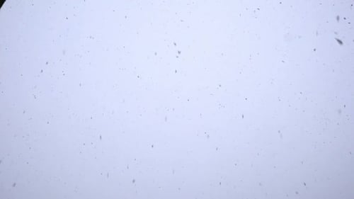 Schnee fällt leise vom weißen Himmel, stetiger Schuss