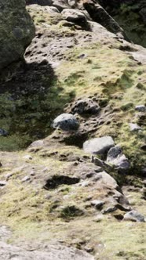 Close Up of Rocky Stones Formation