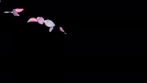 Graceful Pink and Blue Petal Fall Overlay