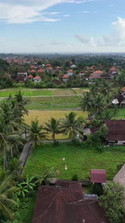 Tropical Landscape of Ubud Village and Rice Fields