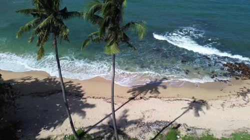 Aerial Drone Footage of Remote Tropical Beach with Palm Trees and Turquoise Ocean in Thailand