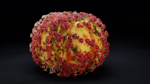 Rotating Organic Sphere with Pulsating Microscopic Forms