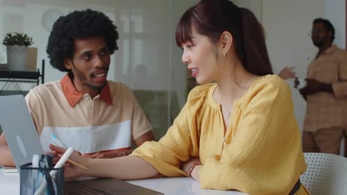 Biracial Colleagues Discussing Project Task in Office