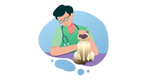 Animated Veterinarian Petting a Siamese Cat Illustration
