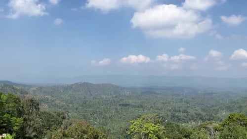 natural mountain forest