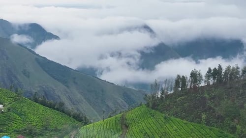 Kerala Greenery During Monsoon Season