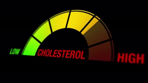 Animation of a cholesterol level gauge displaying low, mid, and high levels