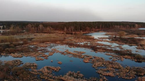 River View From Above Aerial Drone View on Rive
