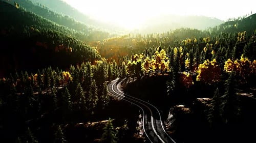 An Empty Road Winding Through a Beautiful Forest at Sunset
