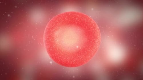 Pulsating Red Blood Cell Microscopic Animation Background