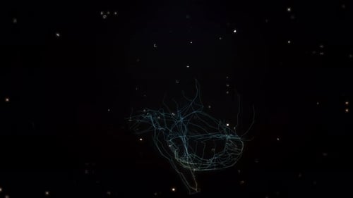 AI Wireframe Brain Digital Flow 4K