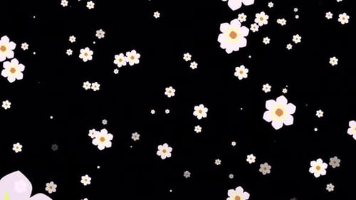 Nahtlose Loop-Animation fallender Blumen auf transparentem Hintergrund.