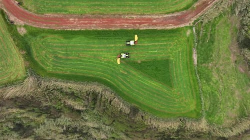 Vue aérienne par drone de deux tracteurs récoltant des céréales fourragères dans un champ agricole luxuriant