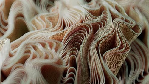 Flowing Abstract Organic Waves Background Animation