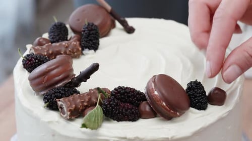Delicious Cake with Chocolate and Blackberries