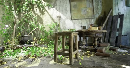 Abandoned Garden Room with Rustic Furniture and Overgrown Plants in Sunlight