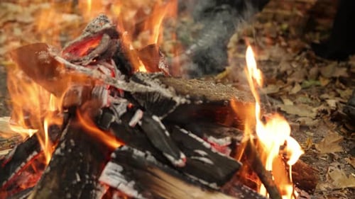 Burning Wood Ember Firelight Fire Embers